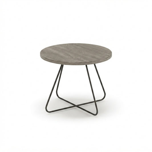 Fossil Coffee Table