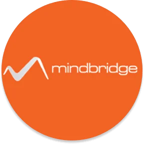 Mindbridge