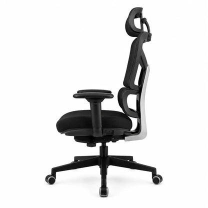 Titan Pro Ultra Ergonomic Executive Chair