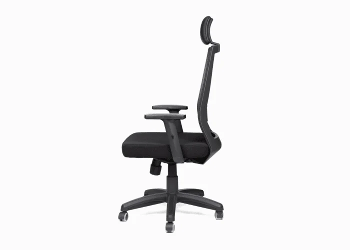 Nexus Chair with Headrest