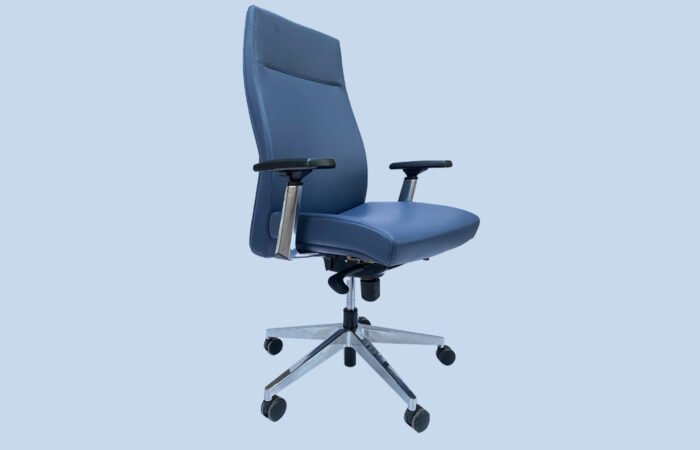 High-End Features at a Reasonable Price - Explore Affordable Executive Chairs with Premium Functionality- Profine