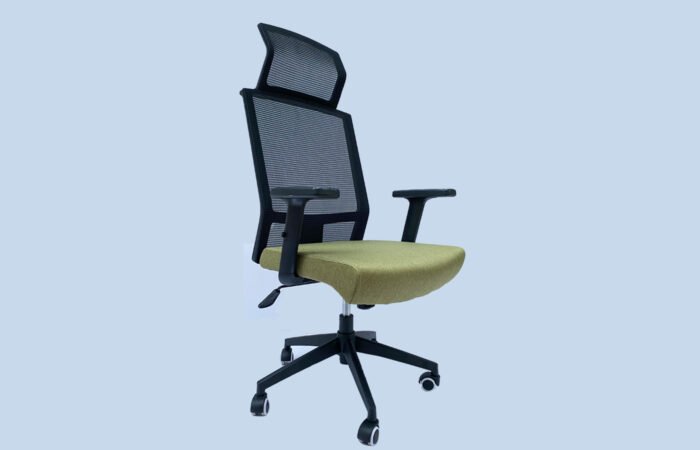 Image of a high-end executive chair with premium features at a reasonable price.