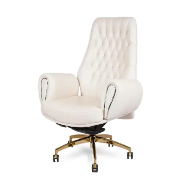 Dysol Executive Chair with ergonomic design and premium cushioning for ultimate office comfort.