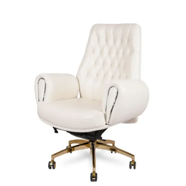 Ergonomic Dysol Midback Chair with premium cushioning for office comfort.