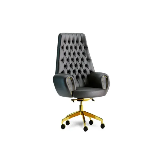 Dysol executive chair