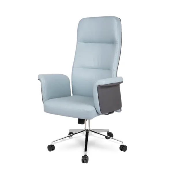 Florance Executive Chair with a sleek design and ergonomic support for office comfort.