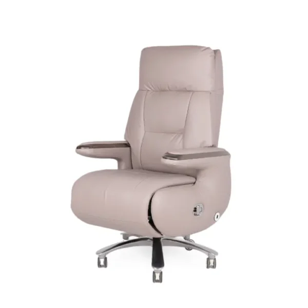 Dream Executive Recliner Chair with luxurious leather finish and adjustable reclining feature.