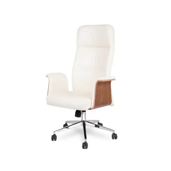 Flash Executive Chair with premium cushioning and ergonomic design for office comfort.