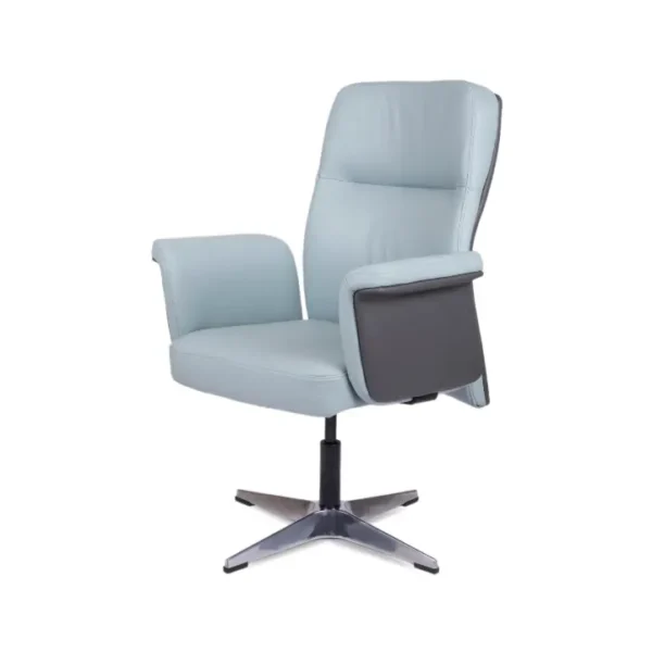 Florance Visitor Chair with a sleek design and comfortable cushioning for office and reception areas.