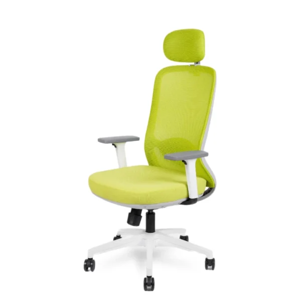 Seal Executive Chair with an ergonomic design and premium cushioning for all-day office comfort.