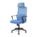 Luxurious Nimbus Executive Chair with ergonomic lumbar support.