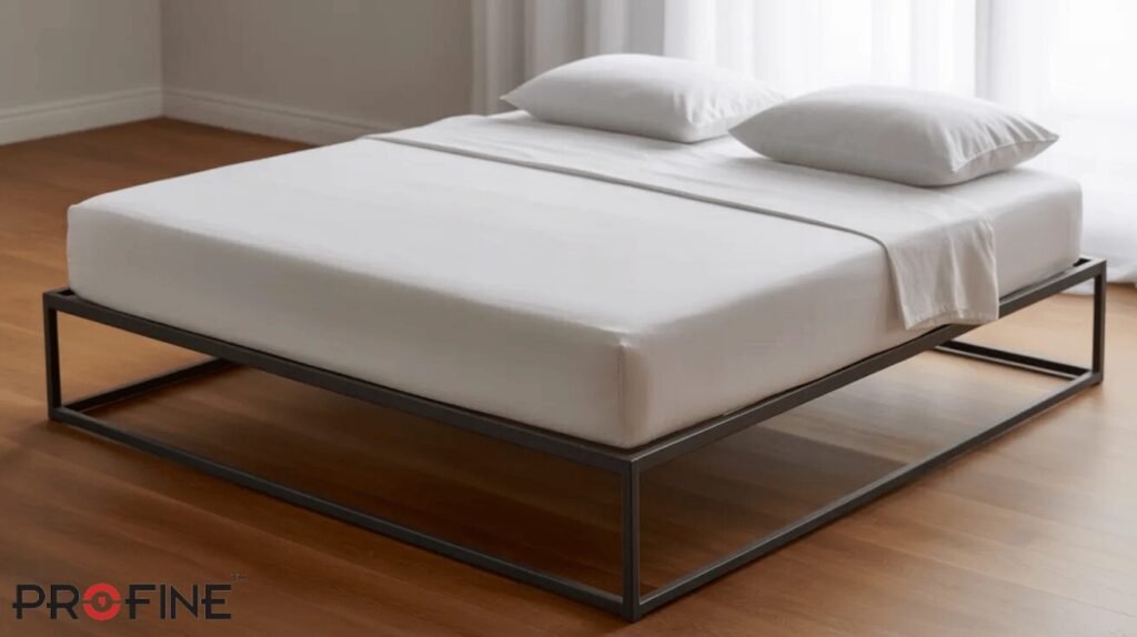 Iron Frame Floor Bed