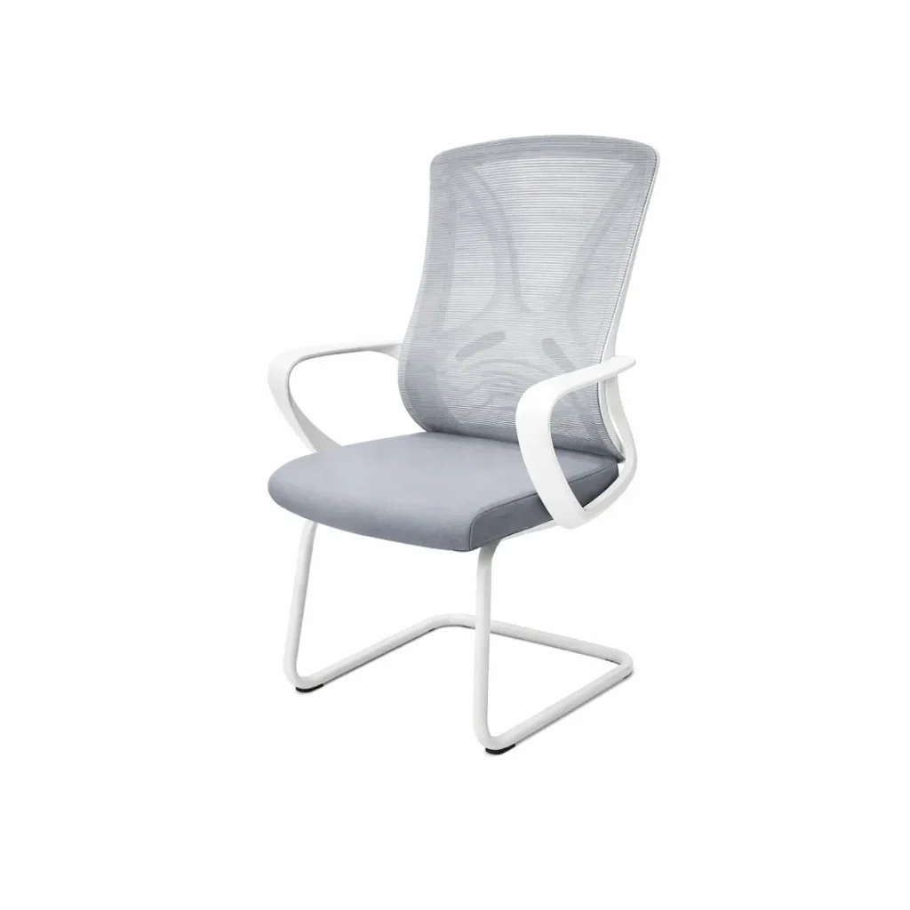 Stylish Roach Visitor Chair with sturdy frame and clean finish
