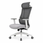 Zenith Ergonomic Executive Chair